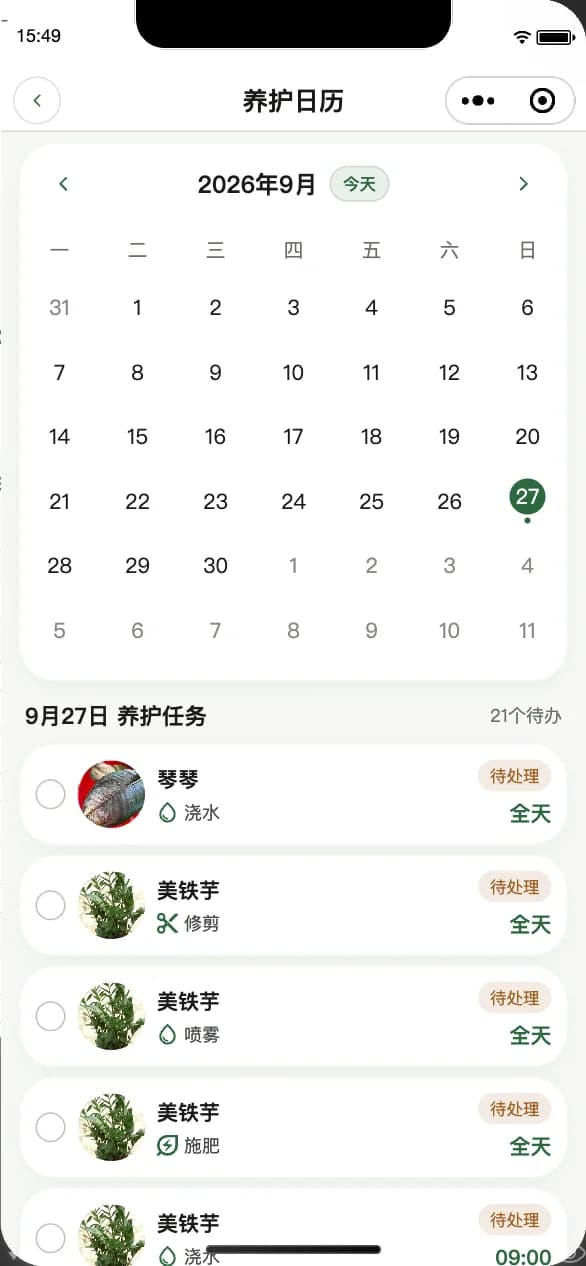 Care calendar